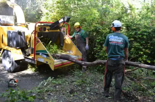 tree services Thousand Oaks